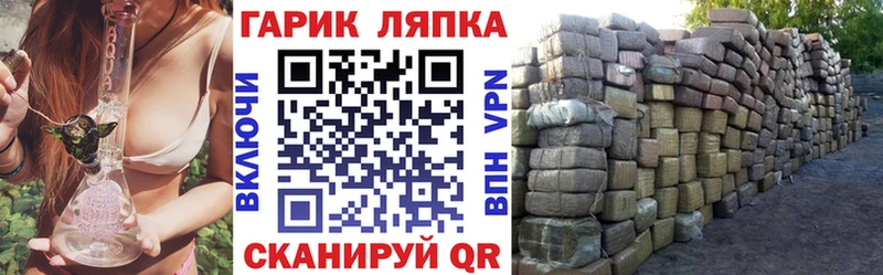 продажа наркотиков  omg tor  ГАШ Premium  Нелидово 