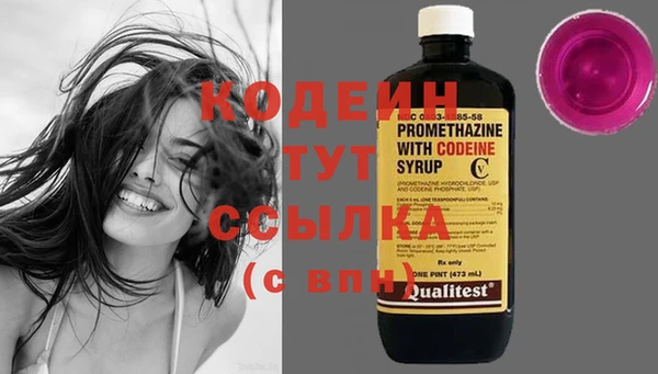 не бодяженный Бородино