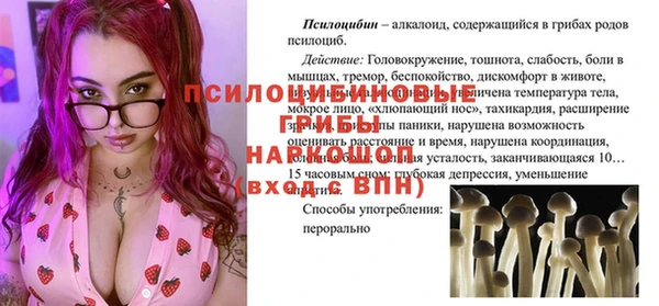 не бодяженный Бородино