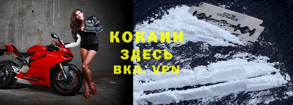 не бодяженный Бородино