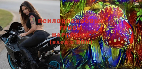 мдпв Бугульма