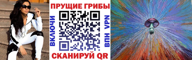 MEGA ONION  Нелидово  Галлюциногенные грибы ЛСД 